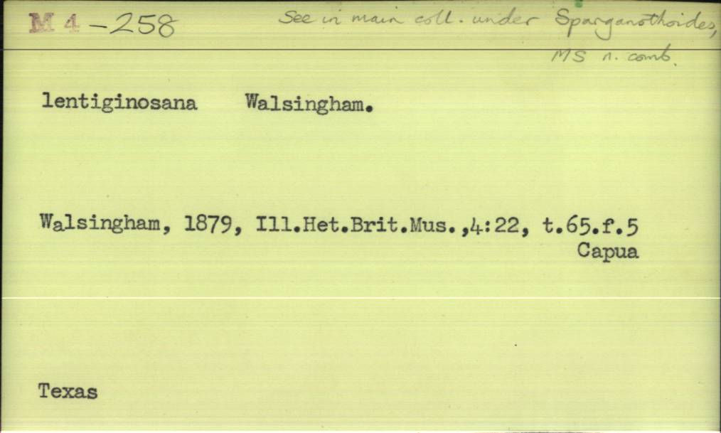 front of card